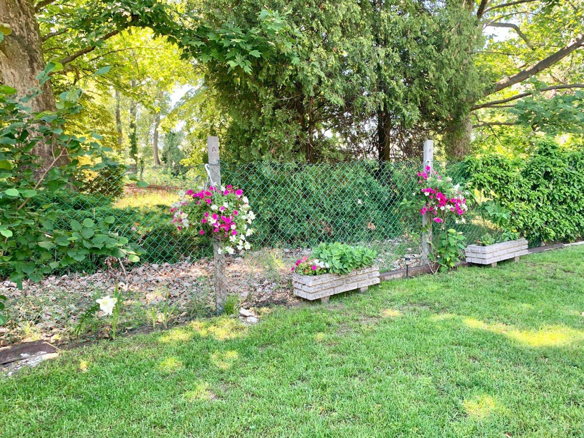 Szarszo With 3 And Private Beach, Private Parking Ferienhaus