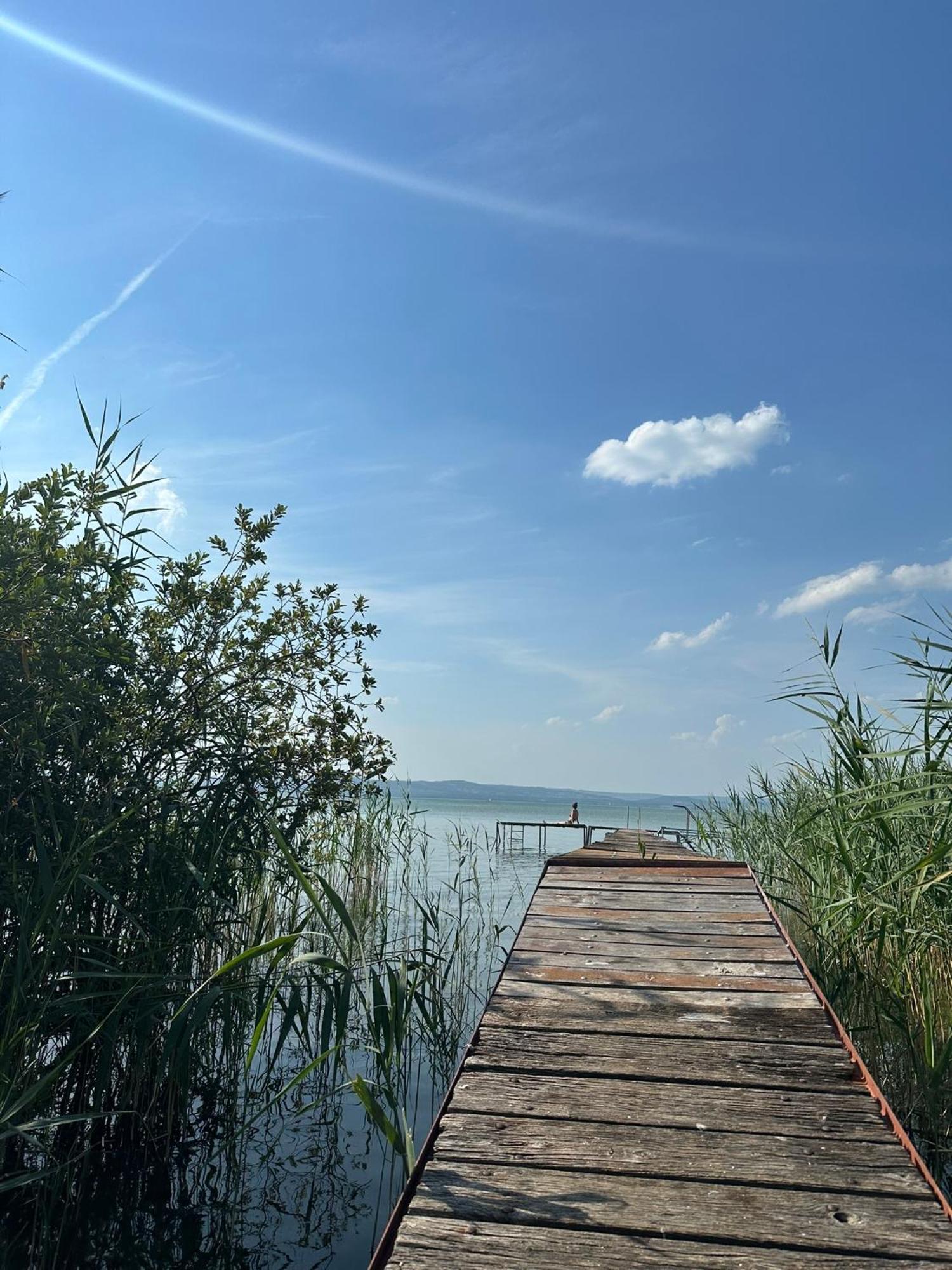 Ferienhaus Szarszo With 3 And Private Beach, Private Parking Balatonszarszo